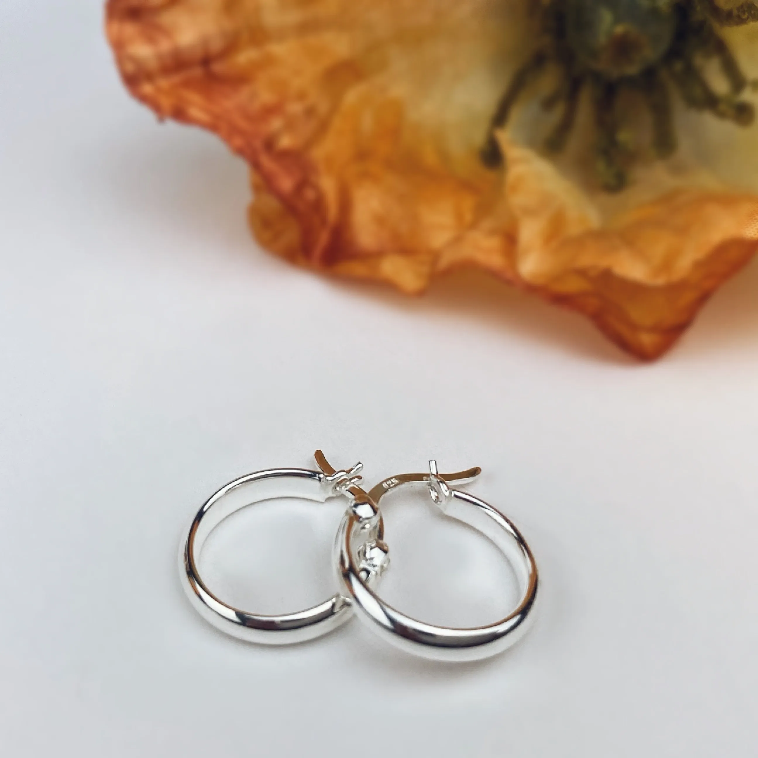 Classic Silver Hoop Earrings - SE5390