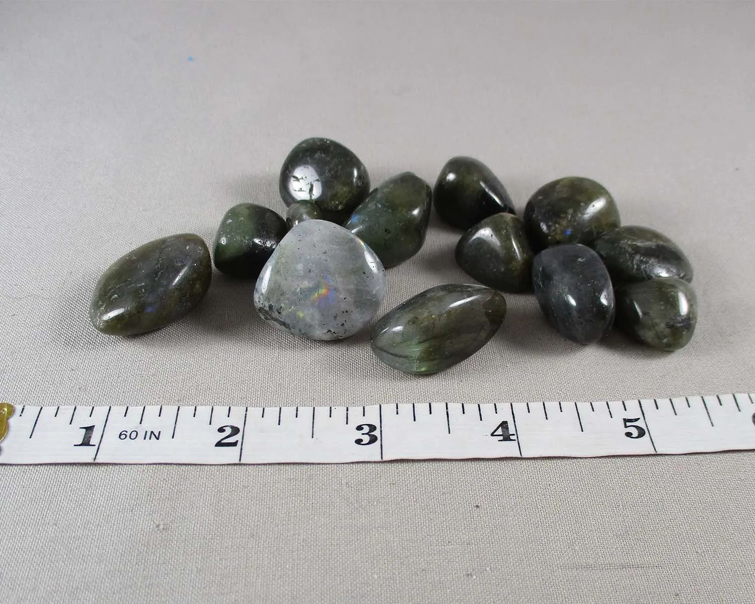 Labradorite Polished Stones (Small) 5pcs J063**