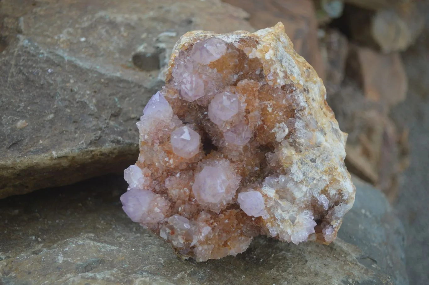 Natural Stunning Spirit Ametrine Quartz Cluster x 1 From Boekenhouthoek, South Africa