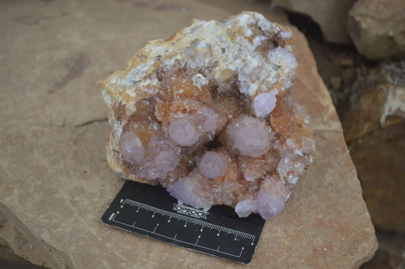 Natural Stunning Spirit Ametrine Quartz Cluster x 1 From Boekenhouthoek, South Africa