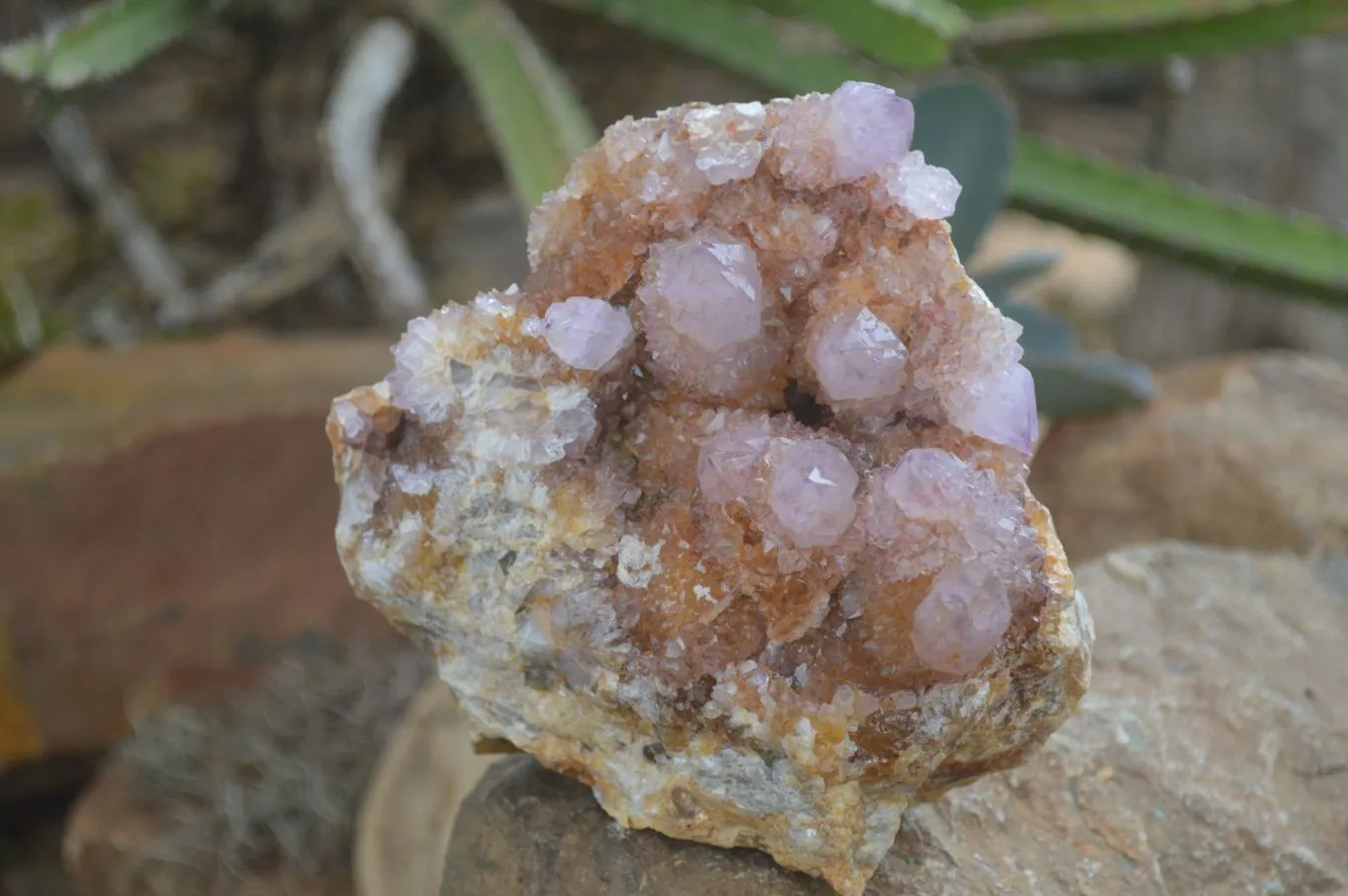 Natural Stunning Spirit Ametrine Quartz Cluster x 1 From Boekenhouthoek, South Africa