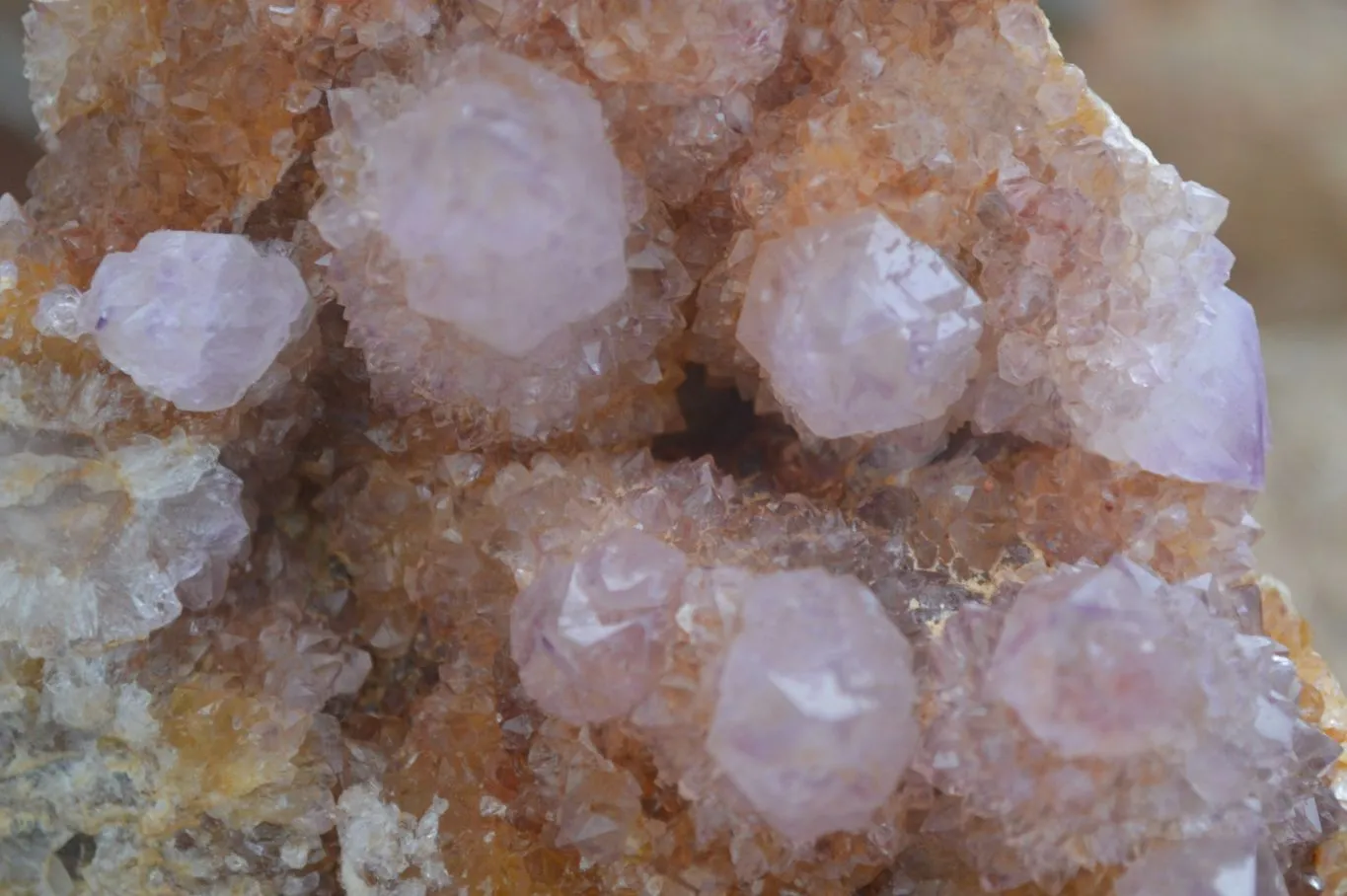 Natural Stunning Spirit Ametrine Quartz Cluster x 1 From Boekenhouthoek, South Africa