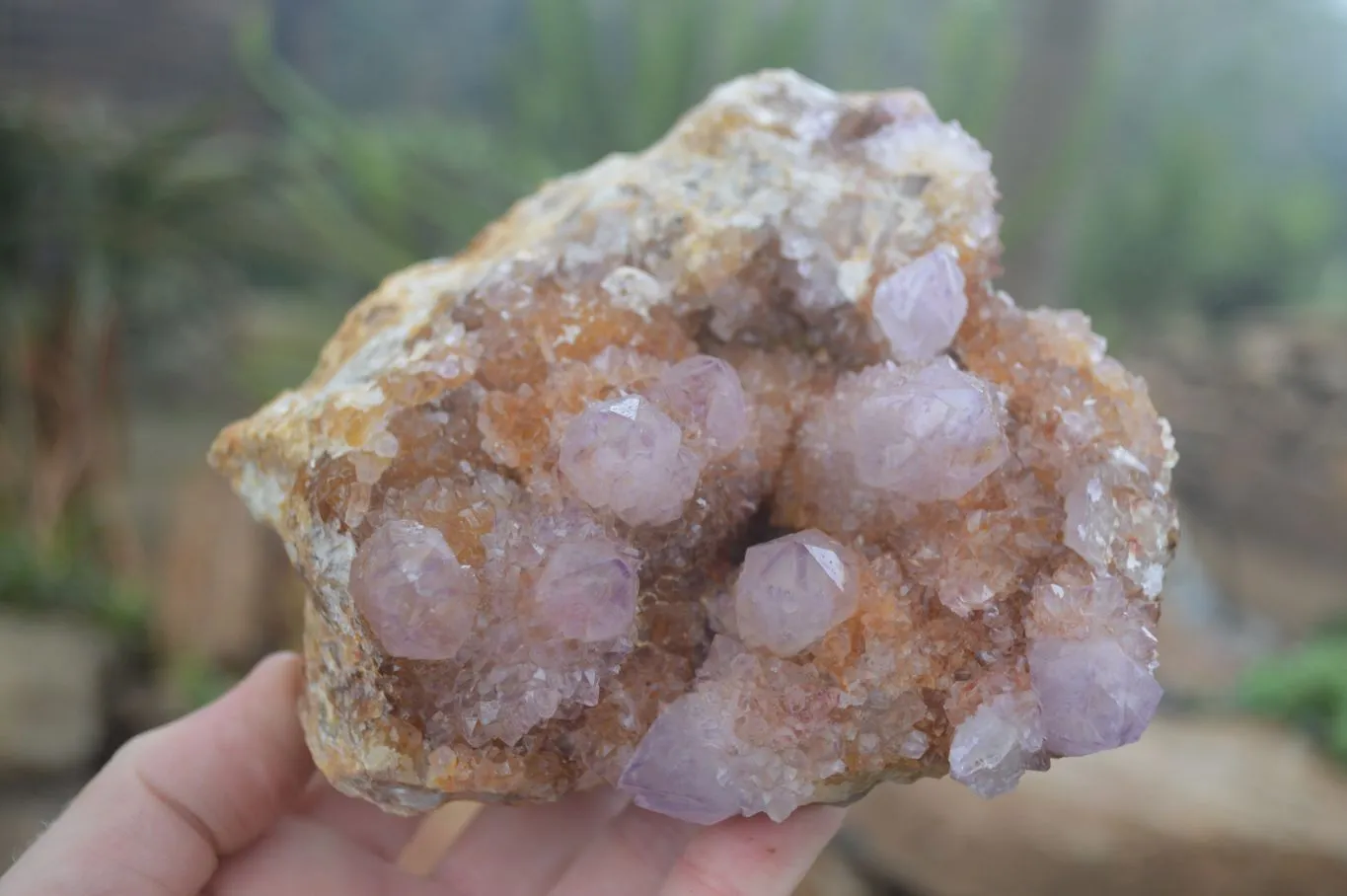 Natural Stunning Spirit Ametrine Quartz Cluster x 1 From Boekenhouthoek, South Africa