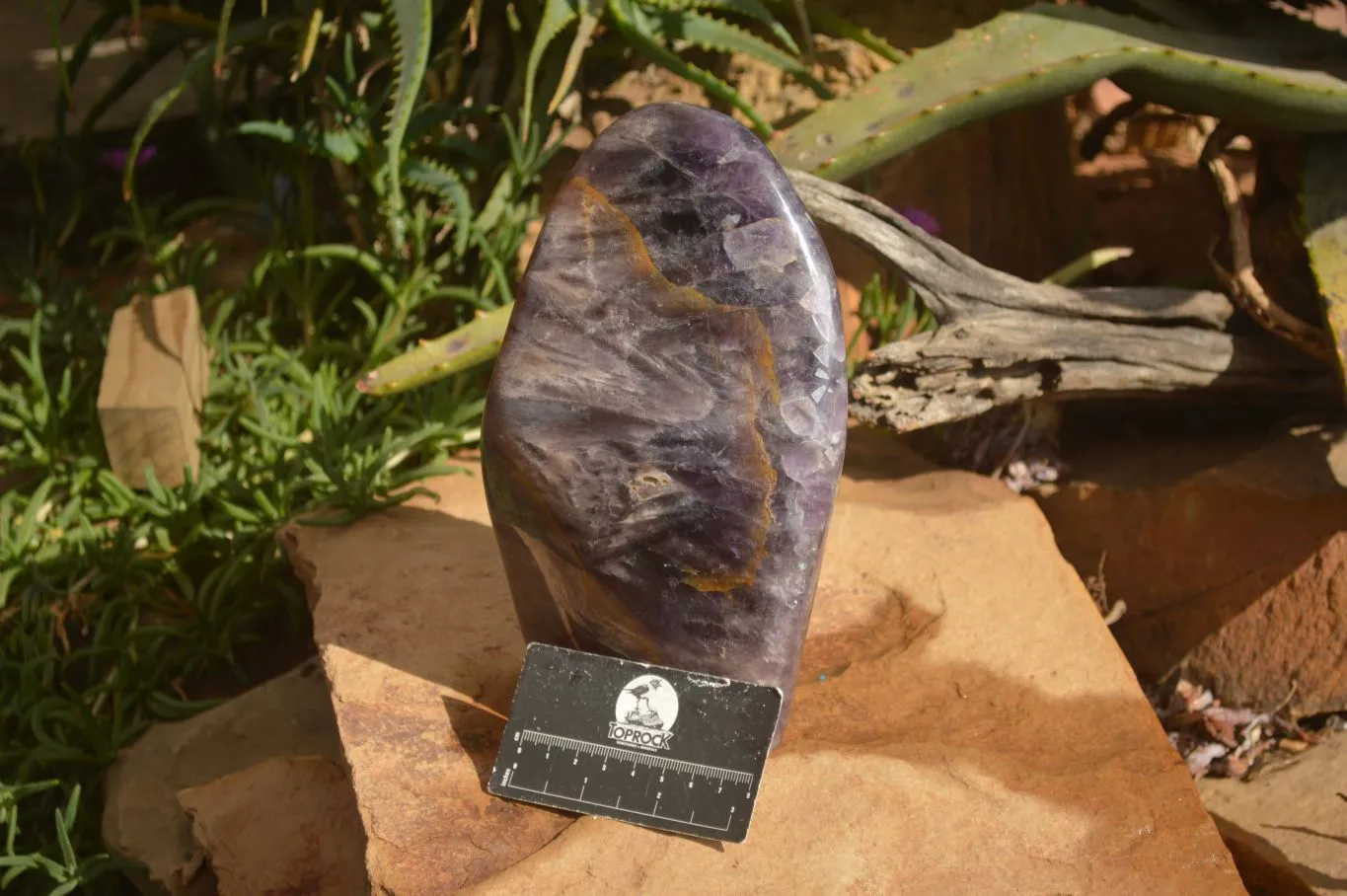 Polished Extra Large Amethyst Standing Free Form x 1 From Madagascar