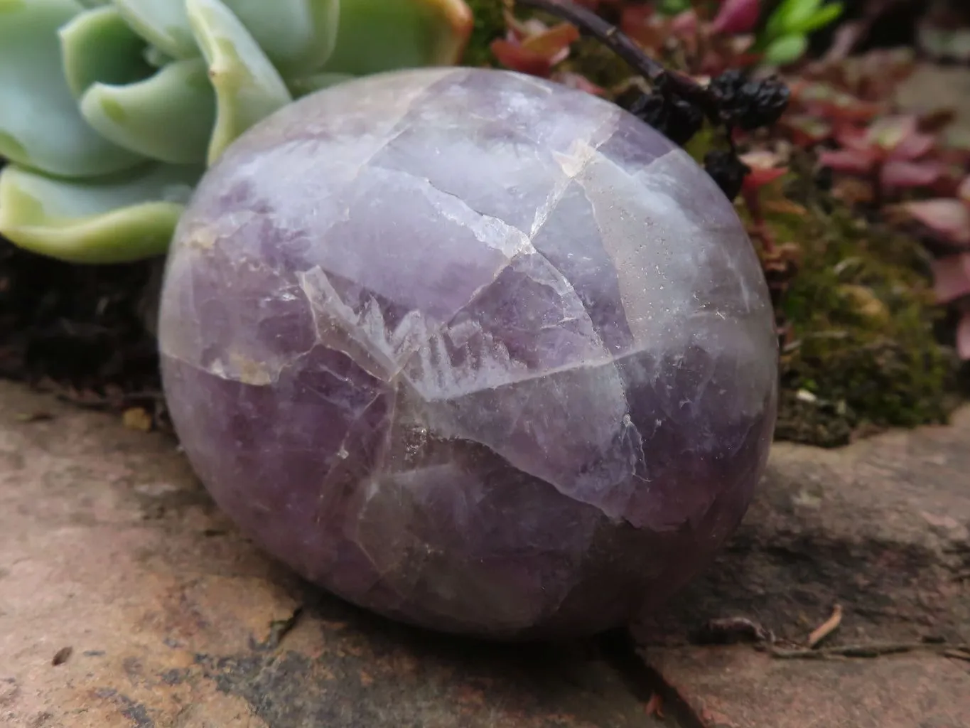 Polished Large Amethyst Galet - Palm Stones x 12 From Madagascar