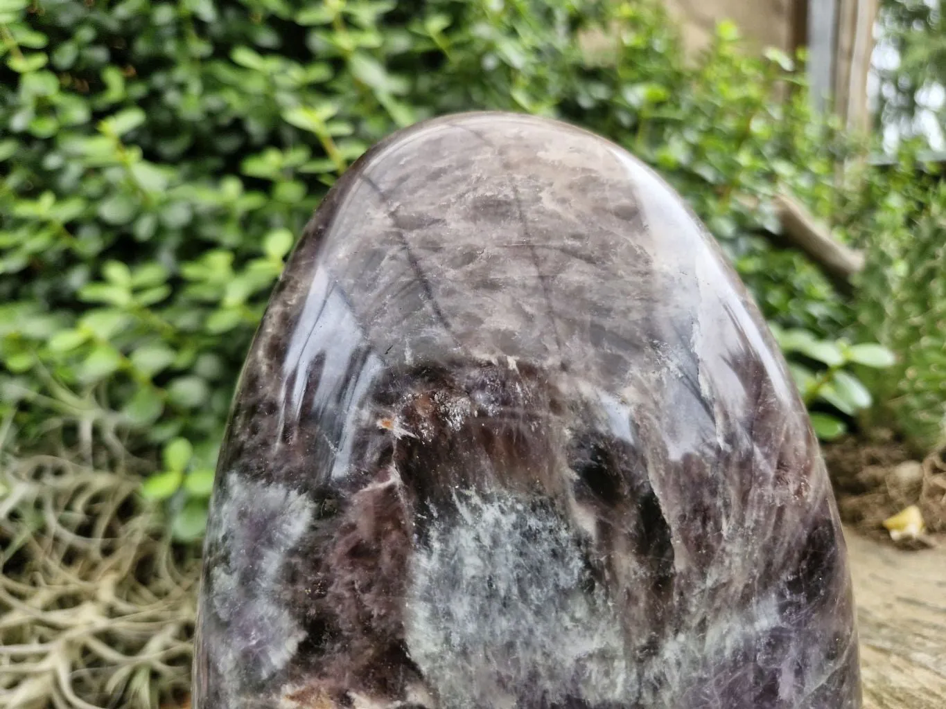 Polished Smokey Dream Amethyst Standing Free Form x 1 From Madagascar