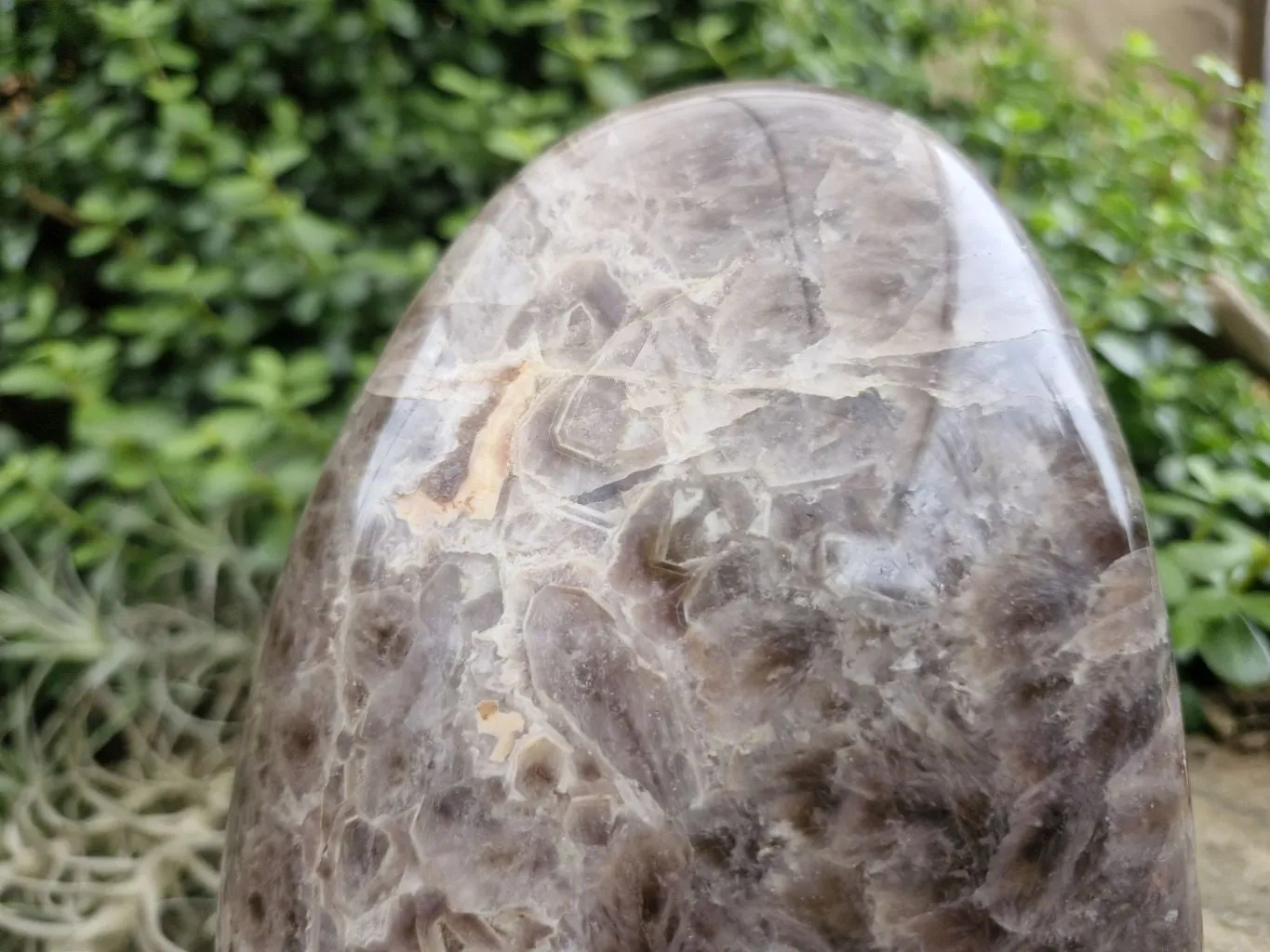 Polished Smokey Dream Amethyst Standing Free Form x 1 From Madagascar