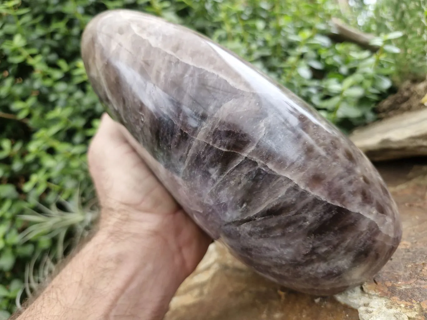 Polished Smokey Dream Amethyst Standing Free Form x 1 From Madagascar