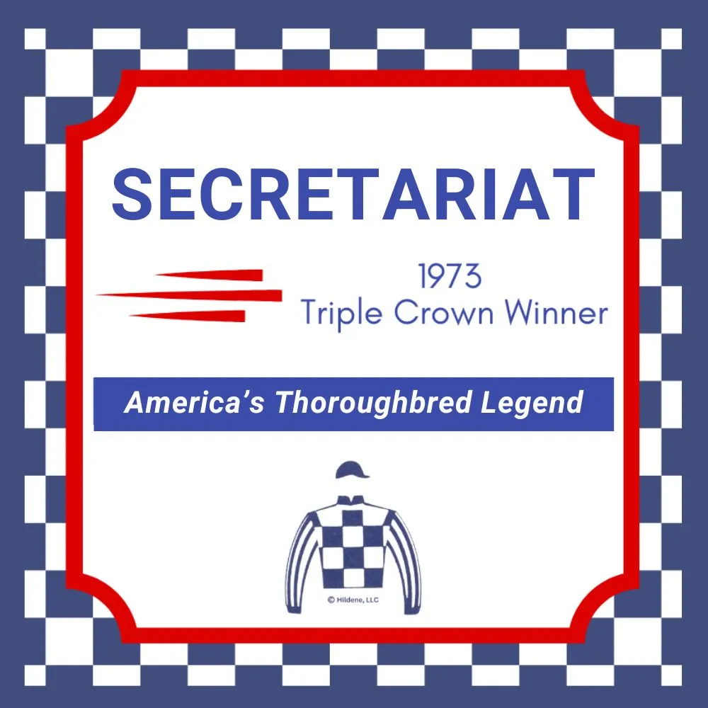 Secretariat Denim Lapis Bead Bracelet