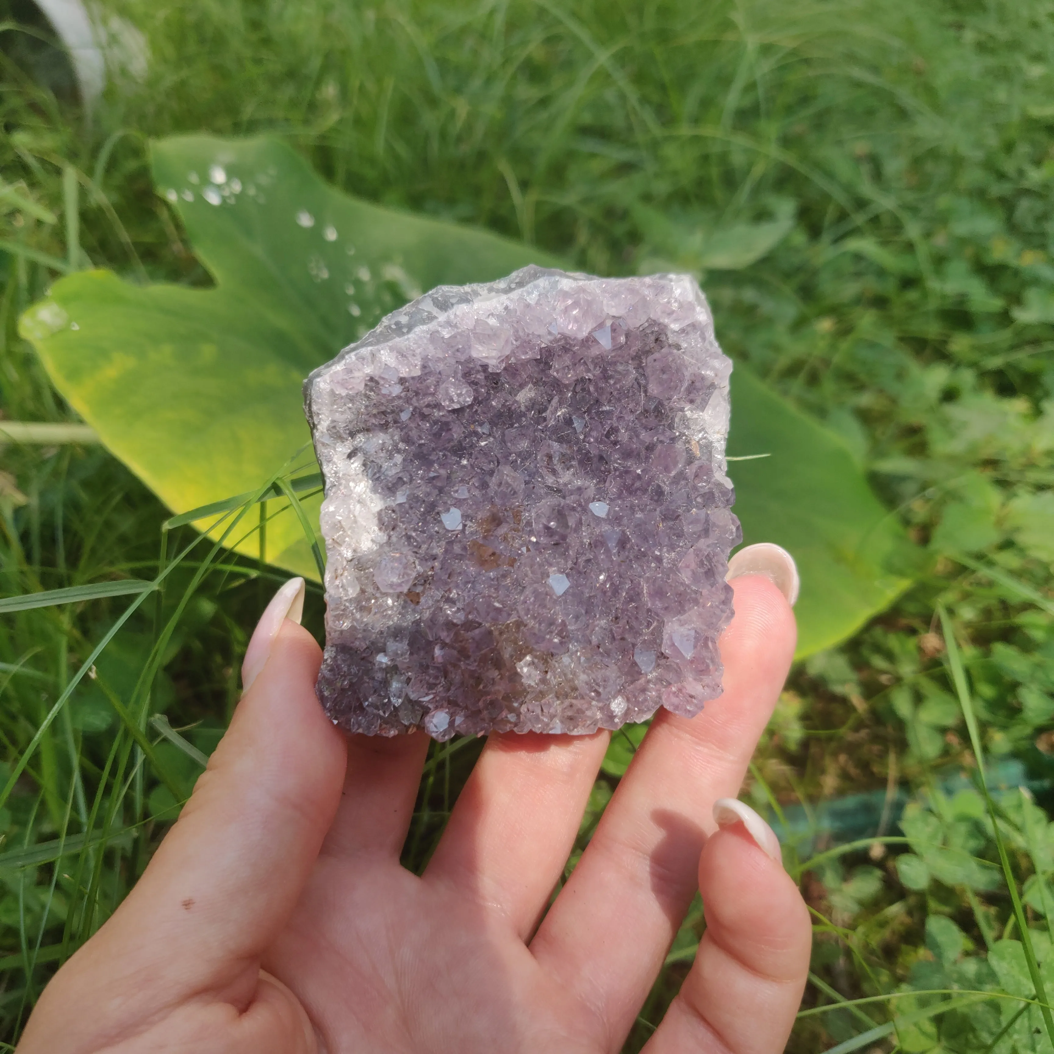 Self-Standing Amethyst Cluster (#2C)