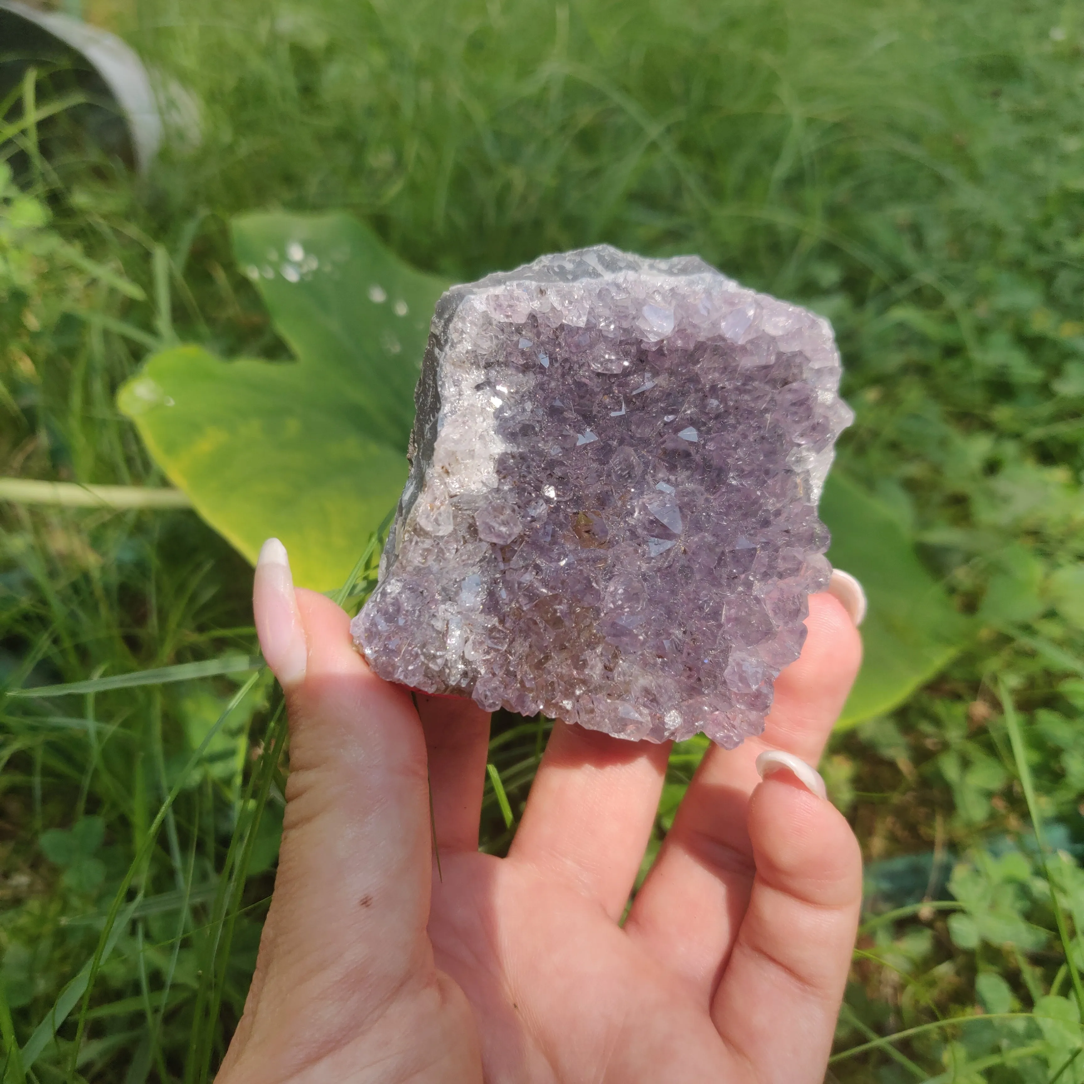 Self-Standing Amethyst Cluster (#2C)