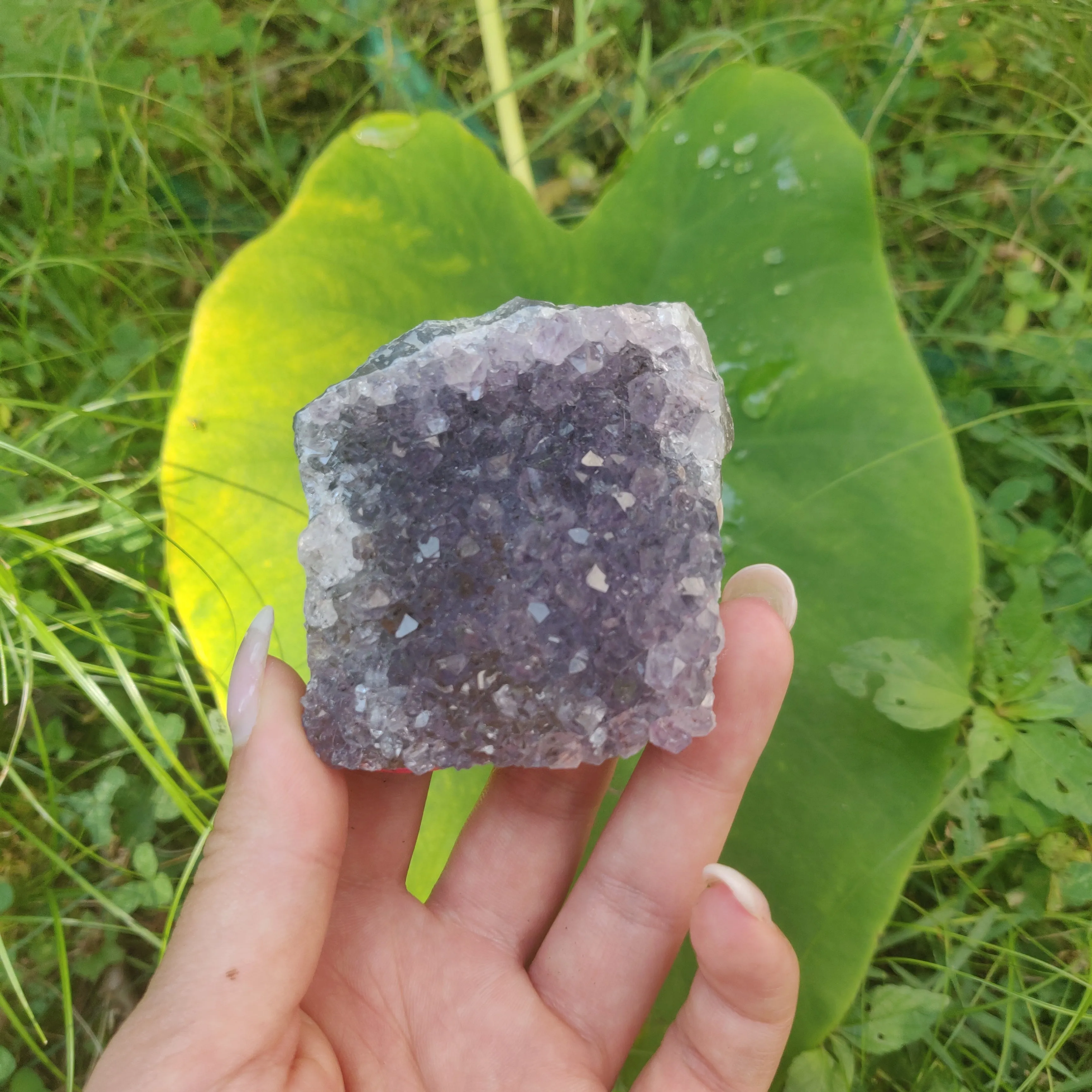 Self-Standing Amethyst Cluster (#2C)