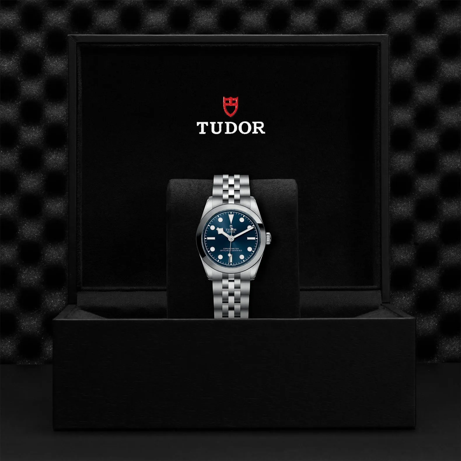 TUDOR Black Bay 31mm Case, Blue Dial, Steel Strap (M79600-0002)